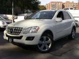 2010 Mercedes-Benz ML 350 4Matic