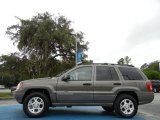 1999 Jeep Grand Cherokee Taupe Frost Metallic