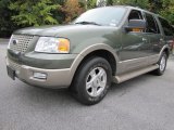 2003 Estate Green Metallic Ford Expedition Eddie Bauer #55189247