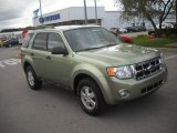 2008 Kiwi Green Metallic Ford Escape XLT V6 4WD #55235874