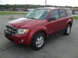 2008 Ford Escape XLT