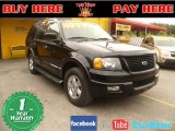 2005 Black Clearcoat Ford Expedition Limited #55332713