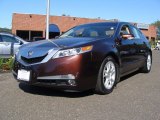 2009 Basque Red Pearl Acura TL 3.5 #55365551