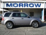 2008 Ford Escape XLT V6 4WD