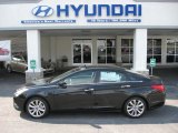 2012 Midnight Black Hyundai Sonata SE #55365103