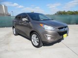 2010 Chai Bronze Hyundai Tucson Limited #55402154