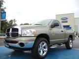 2008 Light Khaki Metallic Dodge Ram 1500 SLT Regular Cab 4x4 #55450258