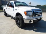 2011 Oxford White Ford F150 XLT SuperCrew 4x4 #55450362