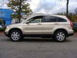 2009 Honda CR-V EX-L 4WD