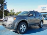 2012 Sterling Gray Metallic Ford Escape XLT #55487798