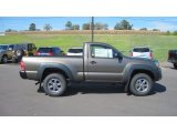 Pyrite Mica Toyota Tacoma in 2012