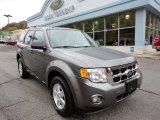 2009 Sterling Grey Metallic Ford Escape XLT 4WD #55487944