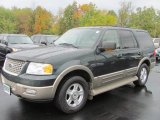 2003 Aspen Green Metallic Ford Expedition Eddie Bauer 4x4 #55488183