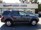 2009 Black Pearl Slate Metallic Ford Escape XLT #55537243