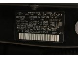 2010 Tucson Color Code for Ash Black - Color Code: TCM