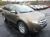 2012 Mineral Grey Metallic Ford Edge SEL AWD #55537079