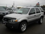 2007 Ford Escape XLT 4WD