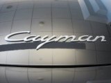 Porsche Cayman 2011 Badges and Logos