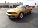 2010 Sunset Gold Metallic Ford Mustang V6 Premium Convertible #55622139
