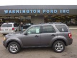 2012 Sterling Gray Metallic Ford Escape XLT 4WD #55622096