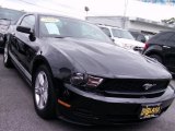 2010 Black Ford Mustang V6 Premium Coupe #55657960