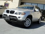 2004 BMW X5 3.0i
