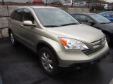2007 Borrego Beige Metallic Honda CR-V EX-L 4WD #55756563