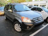 2005 Pewter Pearl Honda CR-V EX 4WD #55846492