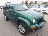 Timberline Green Pearl Jeep Liberty in 2004