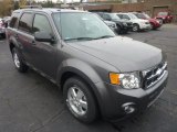 2012 Sterling Gray Metallic Ford Escape XLT 4WD #55846575