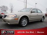 2000 Nissan Maxima GLE