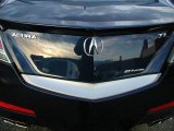 2009 Acura TL 3.7 SH-AWD Marks and Logos