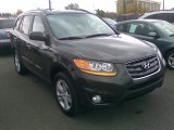 2010 Black Forest Green Metallic Hyundai Santa Fe Limited 4WD #55874902