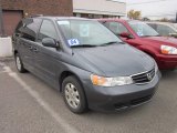 2004 Sage Brush Pearl Honda Odyssey EX-L #55874891