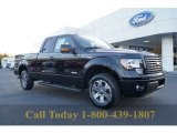 2011 Ebony Black Ford F150 FX2 SuperCab #55905958