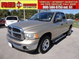 2005 Light Almond Pearl Dodge Ram 1500 SLT Quad Cab #55906343