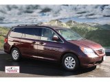 2009 Honda Odyssey EX-L