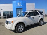 2010 White Suede Ford Escape XLT 4WD #55906332