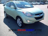 2010 Kiwi Green Hyundai Tucson GLS #55956786