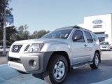 2010 Silver Lightning Metallic Nissan Xterra S #55956431