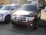 2012 Ebony Black Ford Escape XLT 4WD #55956913