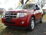 2010 Sangria Red Metallic Ford Escape XLT #56087095