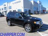 2009 Black Ford Escape XLT V6 4WD #56086855