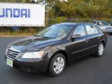 2009 Hyundai Sonata GLS