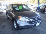 2010 Urban Titanium Metallic Honda CR-V EX-L AWD #56189238