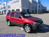 2006 Redfire Metallic Ford Escape XLT V6 4WD #56230972