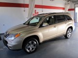 Aspen Gold Metallic Suzuki XL7 in 2008