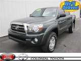 2009 Magnetic Gray Metallic Toyota Tacoma V6 TRD Double Cab 4x4 #56276043