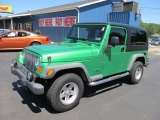 Electric Lime Green Pearl Jeep Wrangler in 2004