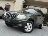 2001 Shale Green Metallic Jeep Grand Cherokee Limited 4x4 #56275226